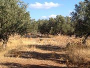 Sternes Kreta, Sternes: Gründstück mit dem Panoramablick auf das Meer von Sternes Edge Grundstück kaufen
